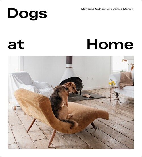 Dogs at Home (Hardcover)