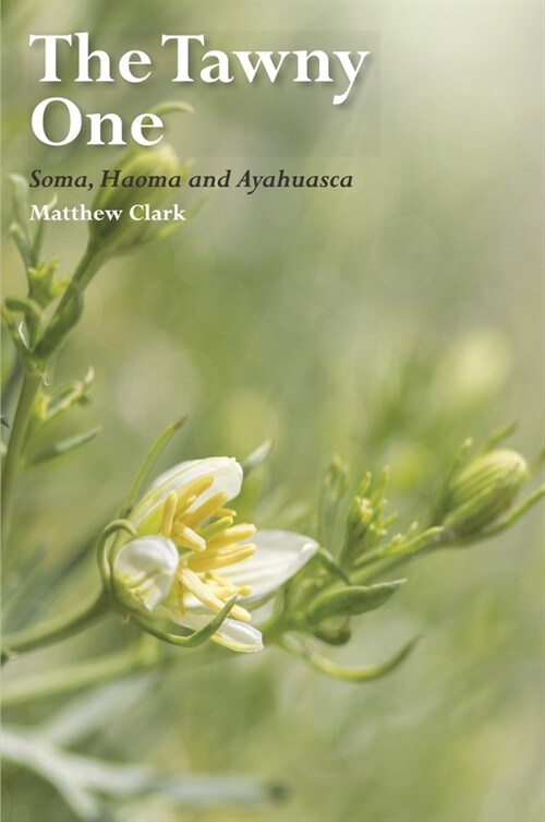 The Tawny One : Soma, Haoma and Ayahuasca (Paperback)