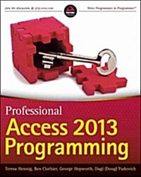 Professional Access 2013 Programming (Paperback)