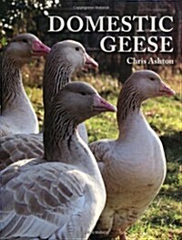 Domestic Geese (Paperback)