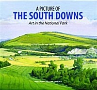 A Picture of the South Downs : Art in the National Park (Hardcover)