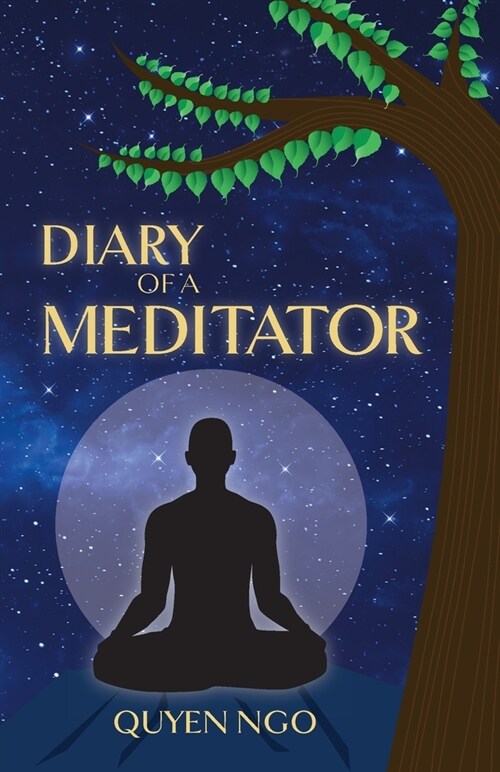 Diary of a Meditator (Paperback)