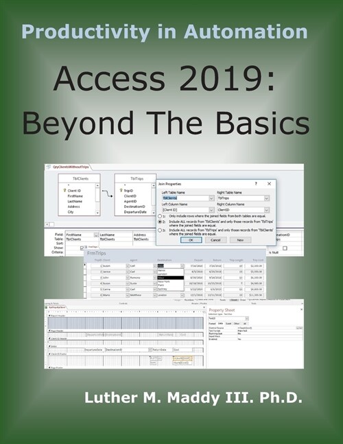 Access 2019: Beyond the Basics (Paperback)