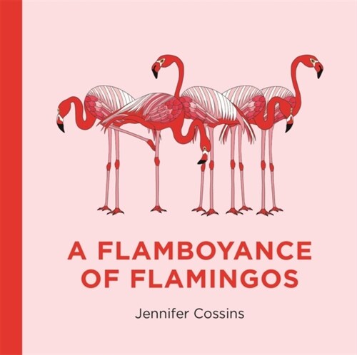 A Flamboyance of Flamingos (Hardcover)