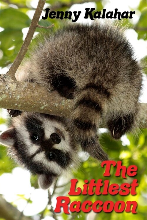 The Littlest Raccoon (Paperback)