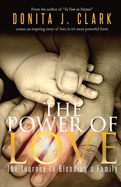 The Power of Love: The journey to blending a family (Paperback)