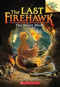 The Last Firehawk #10 : The Secret Maze (Paperback)
