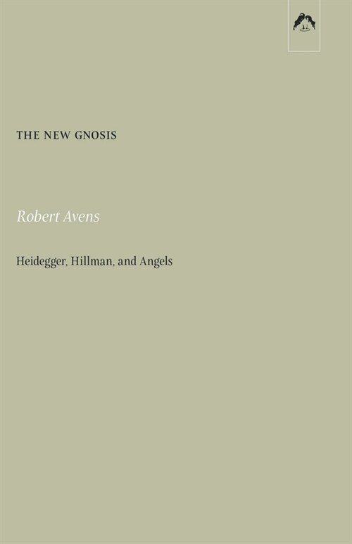 The New Gnosis: Heidegger, Hillman, and Angels (Paperback)