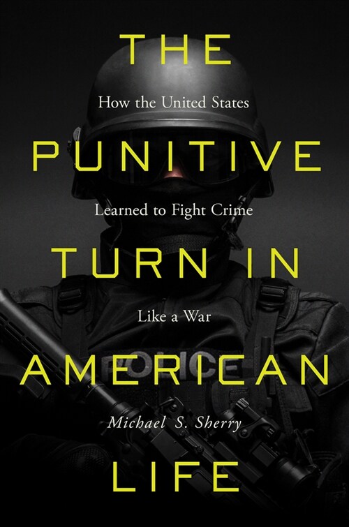 The Punitive Turn in American Life: How the United States Learned to Fight Crime Like a War (Hardcover)