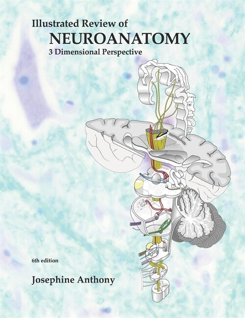 Illustrated Review of Neuroanatomy: 3 Dimensional Perspective (Paperback)