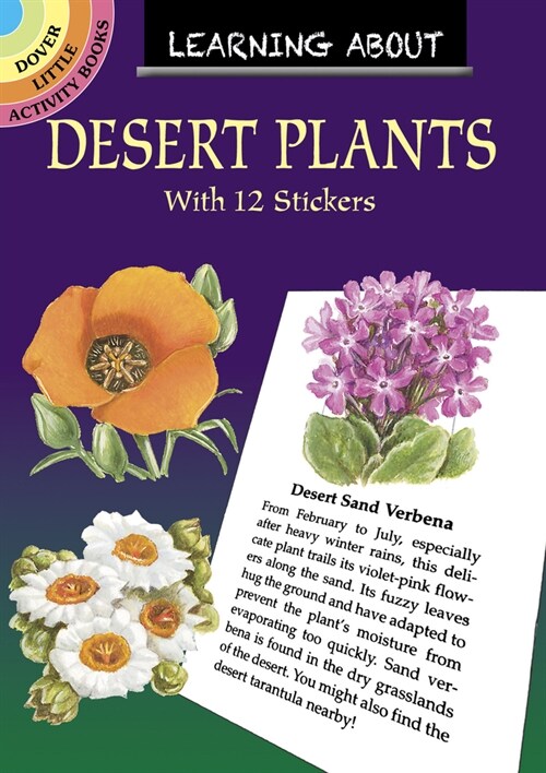 Learning about Desert Plants (Paperback)