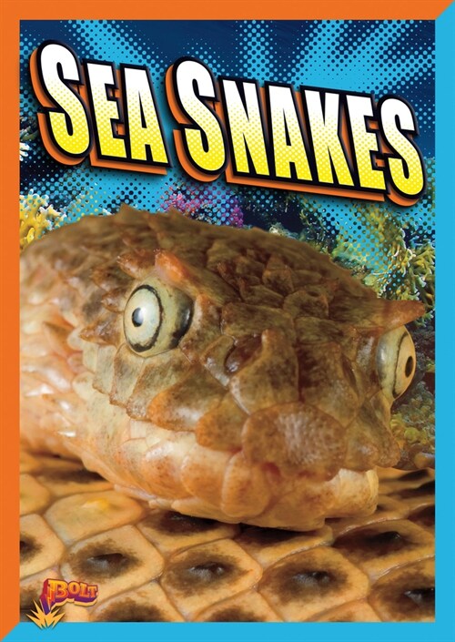 Sea Snakes (Library Binding)