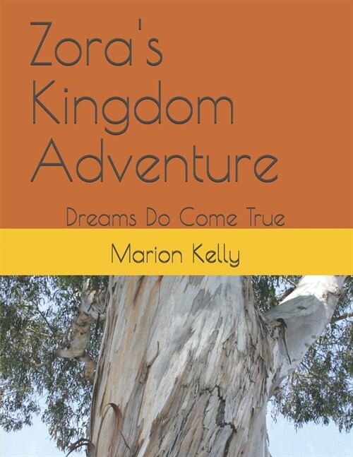 Zoras Kingdom Adventure: Dreams Do Come True (Paperback)