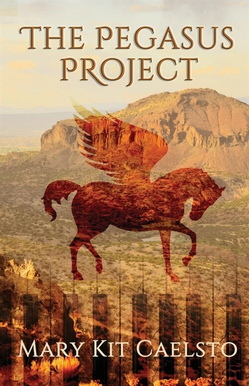 The Pegasus Project: A Musimagium Story (Paperback)