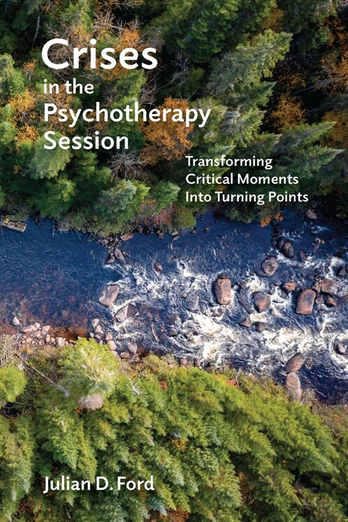 Crises in the Psychotherapy Session: Transforming Critical Moments Into Turning Points (Paperback)