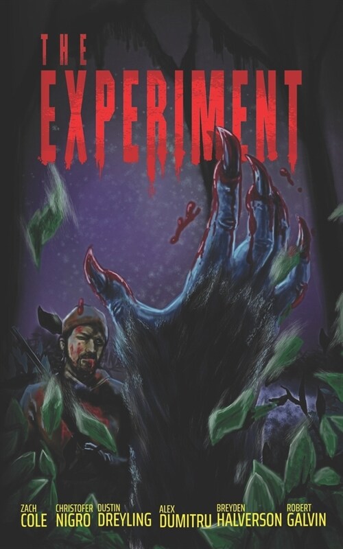 The Experiment (Paperback)