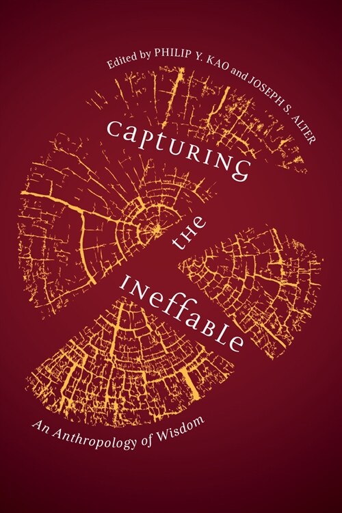 Capturing the Ineffable: An Anthropology of Wisdom (Hardcover)