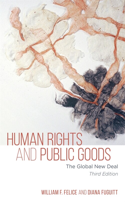 Human Rights and Public Goods: The Global New Deal (Hardcover, 3)