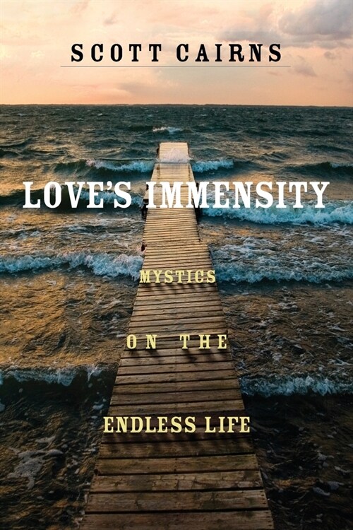 Loves Immensity: Mystics on the Endless Life (Paperback)