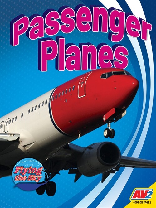 Passenger Planes (Library Binding)