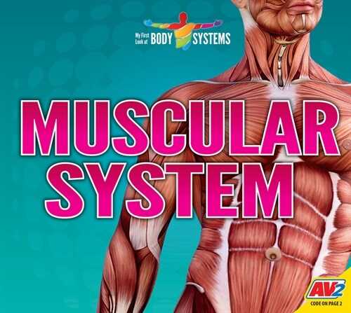 Muscular System (Library Binding)