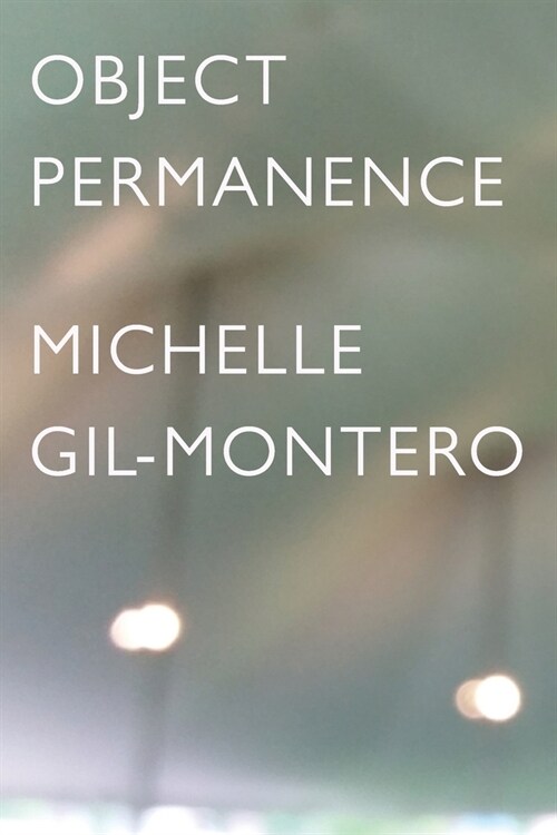 Object Permanence (Paperback)