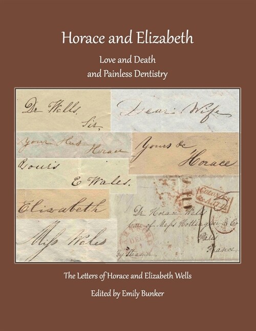 Horace and Elizabeth: Love and Death and Painless Dentistry: The Letters of Horace and Elizabeth Wells (Paperback)