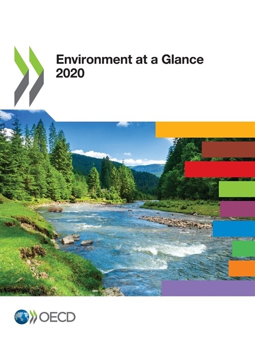 Environment at a Glance 2020 (Paperback)