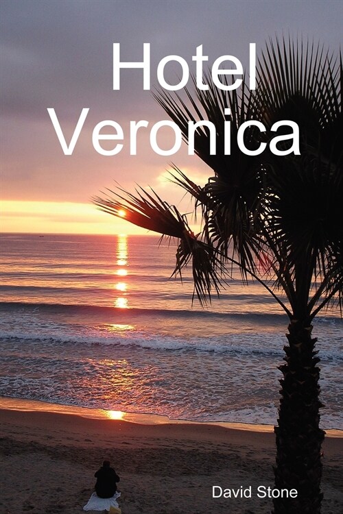 Hotel Veronica (Paperback)
