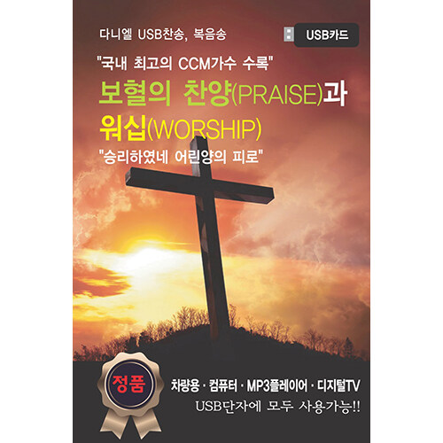 [USB] 보혈의 찬양과 워십 100곡 USB