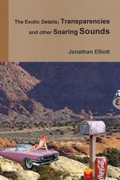 The Exotic Details; Transparencies and other Soaring Sounds (Paperback)