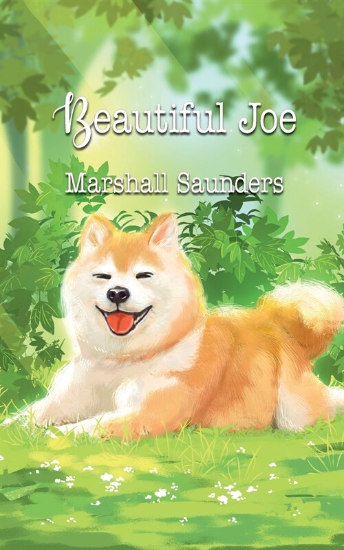 Beautiful Joe (Paperback)