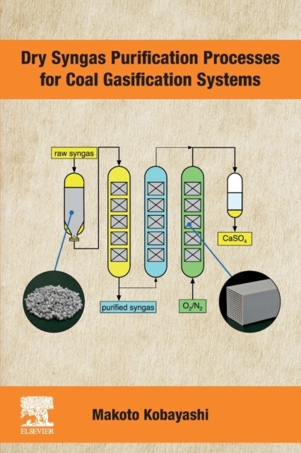 Dry Syngas Purification Processes for Coal Gasification Systems (Paperback)