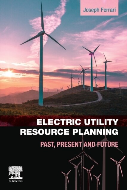 Electric Utility Resource Planning: Past, Present and Future (Paperback)