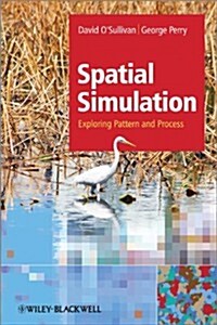 Simulating Pattern and Process (Paperback)
