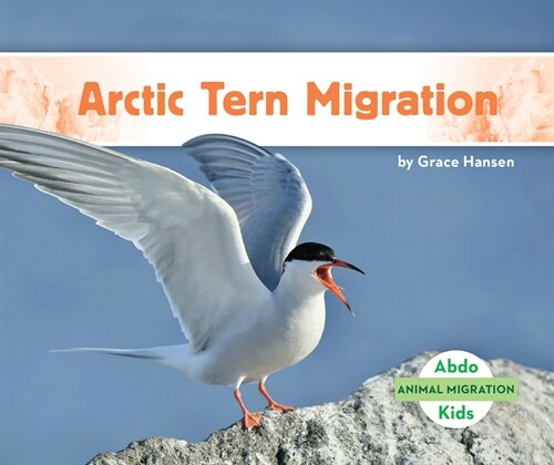 Arctic Tern Migration (Library Binding)