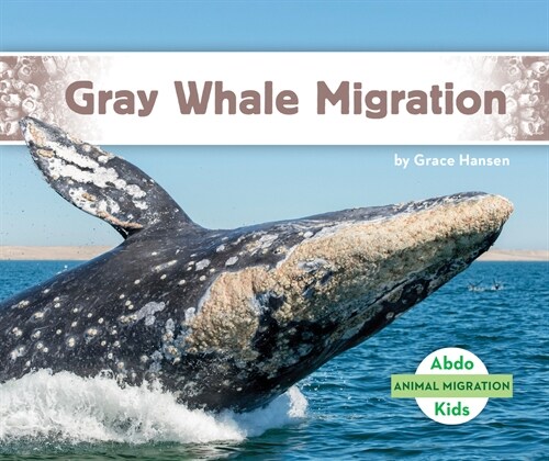 Gray Whale Migration (Library Binding)