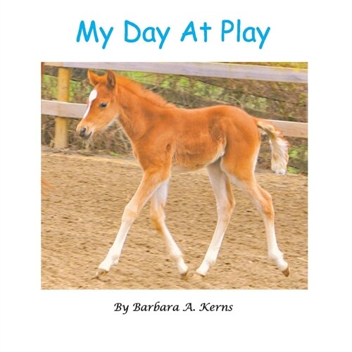 My Day at Play (Paperback)