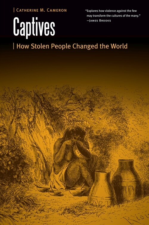 Captives: How Stolen People Changed the World (Paperback)