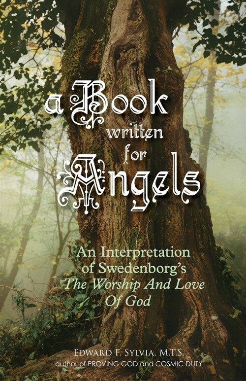 A Book Written For Angels: An interpretation of Swedenborgs The Worship and Love of God (Paperback)
