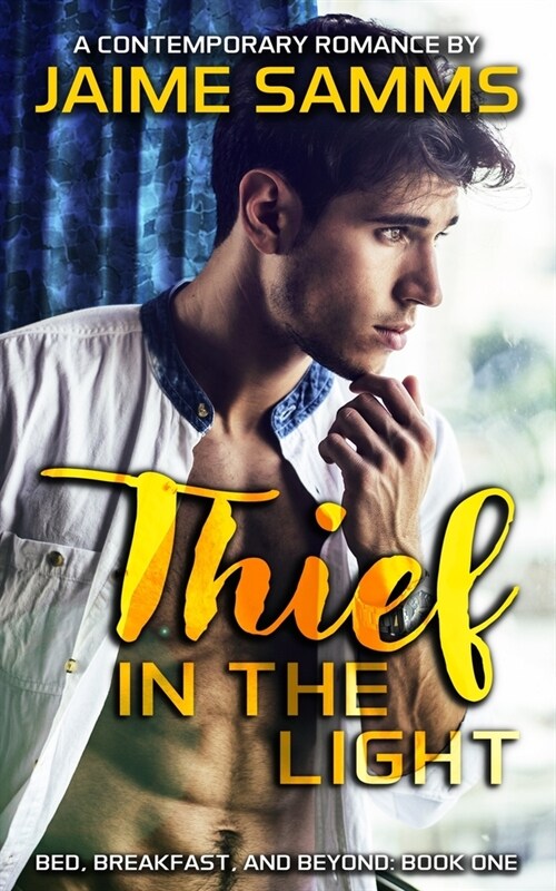 Thief in the Light (Paperback)