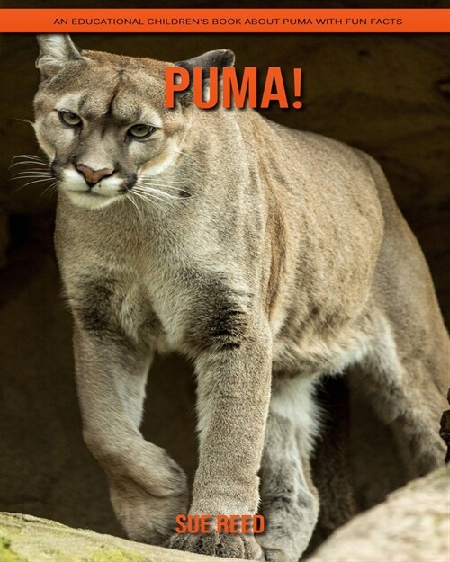 Puma! An Educational Childrens Book about Puma with Fun Facts (Paperback)