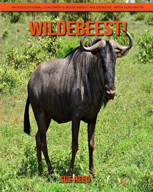 Wildebeest! An Educational Childrens Book about Wildebeest with Fun Facts (Paperback)