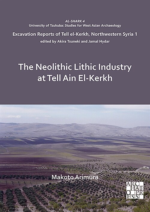 The Neolithic Lithic Industry at Tell Ain El-Kerkh : Excavation Reports of Tell el-Kerkh, Northwestern Syria 1 (Paperback)