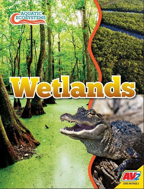 Wetlands (Library Binding)