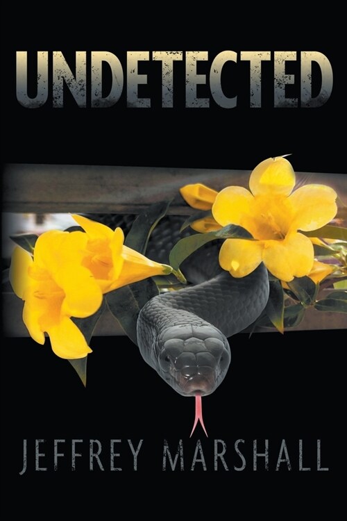 Undetected (Paperback)