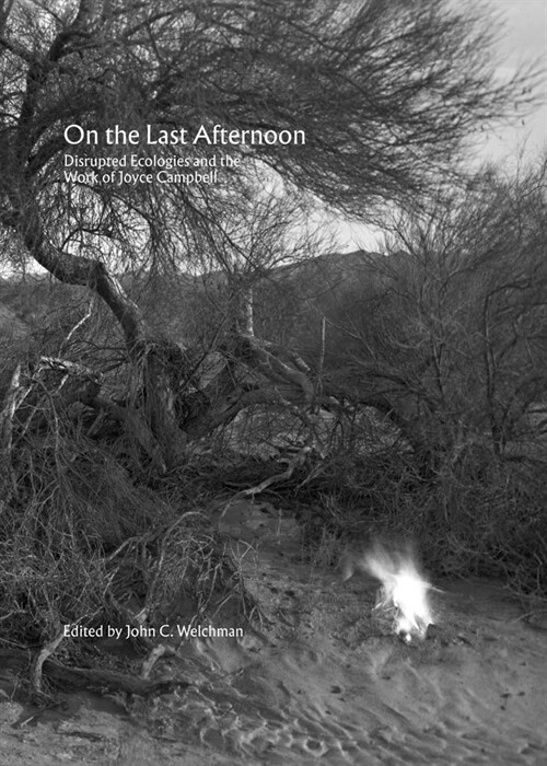 On the Last Afternoon: Disrupted Ecologies and the Work of Joyce Campbell (Paperback)