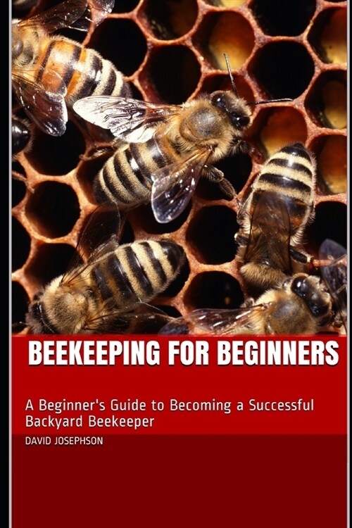 Beekeeping for Beginners: A Beginners Guide to Becoming a Successful Backyard Beekeeper (Paperback)