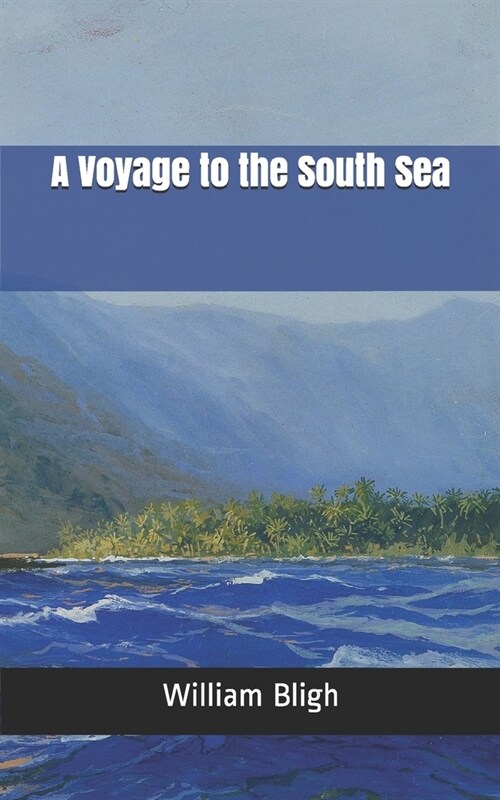 A Voyage to the South Sea (Paperback)