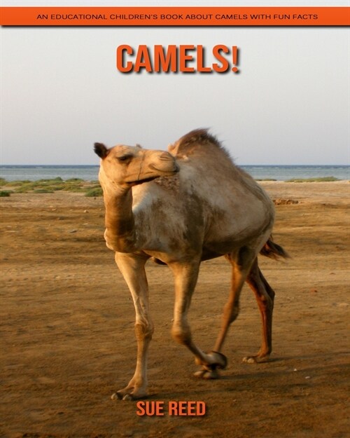 Camels! An Educational Childrens Book about Camels with Fun Facts (Paperback)